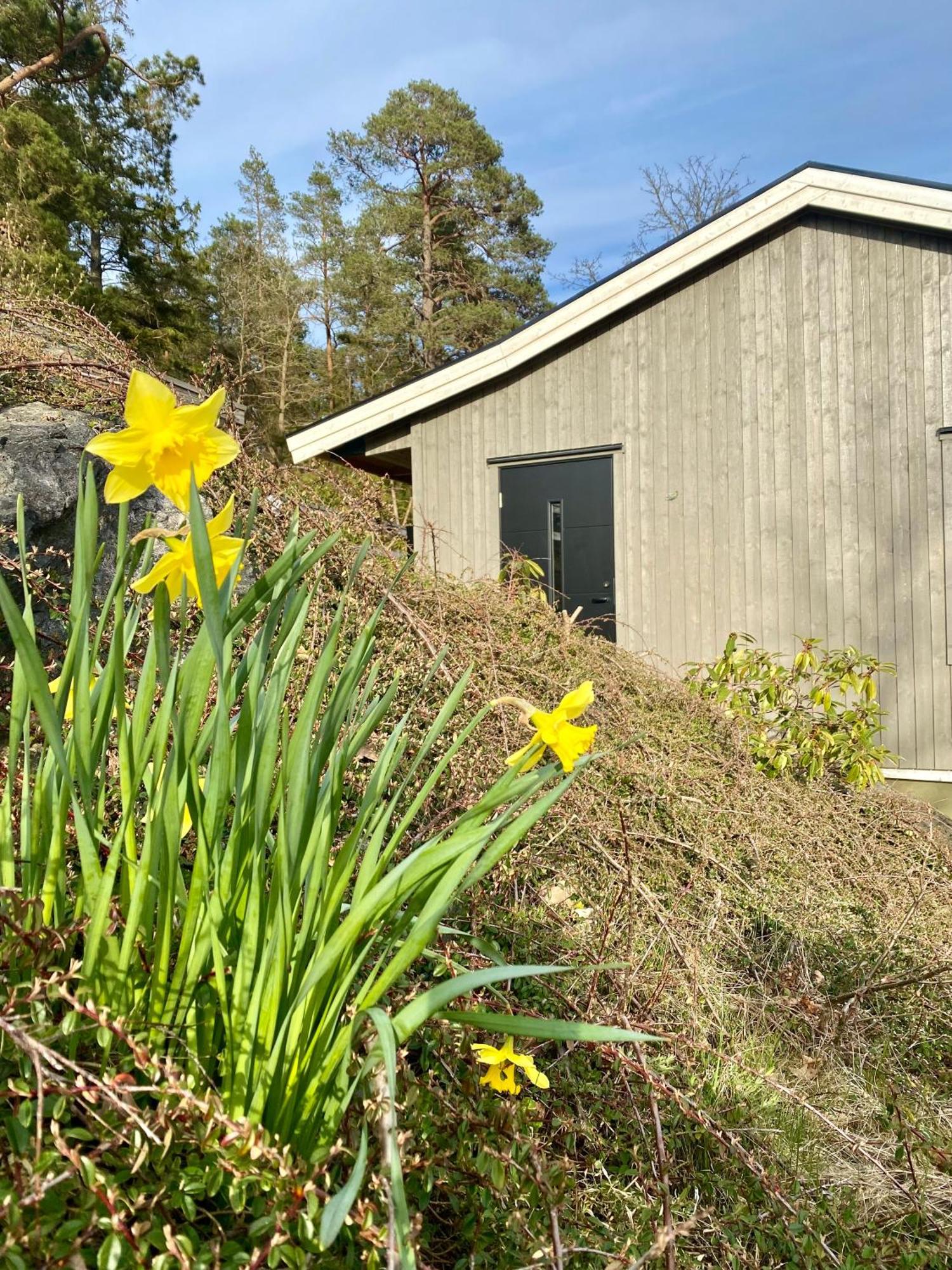 Thecabinljungskile Exterior photo